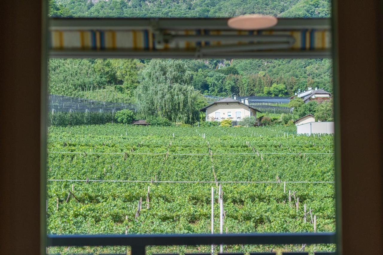 Bed and Breakfast Haus Stolz Appiano Sulla Strada Del Vino Exterior foto